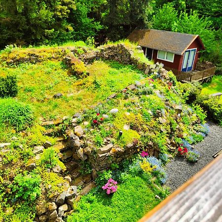 Bed And Breakfast Tvrz Velká Bukovina Zewnętrze zdjęcie