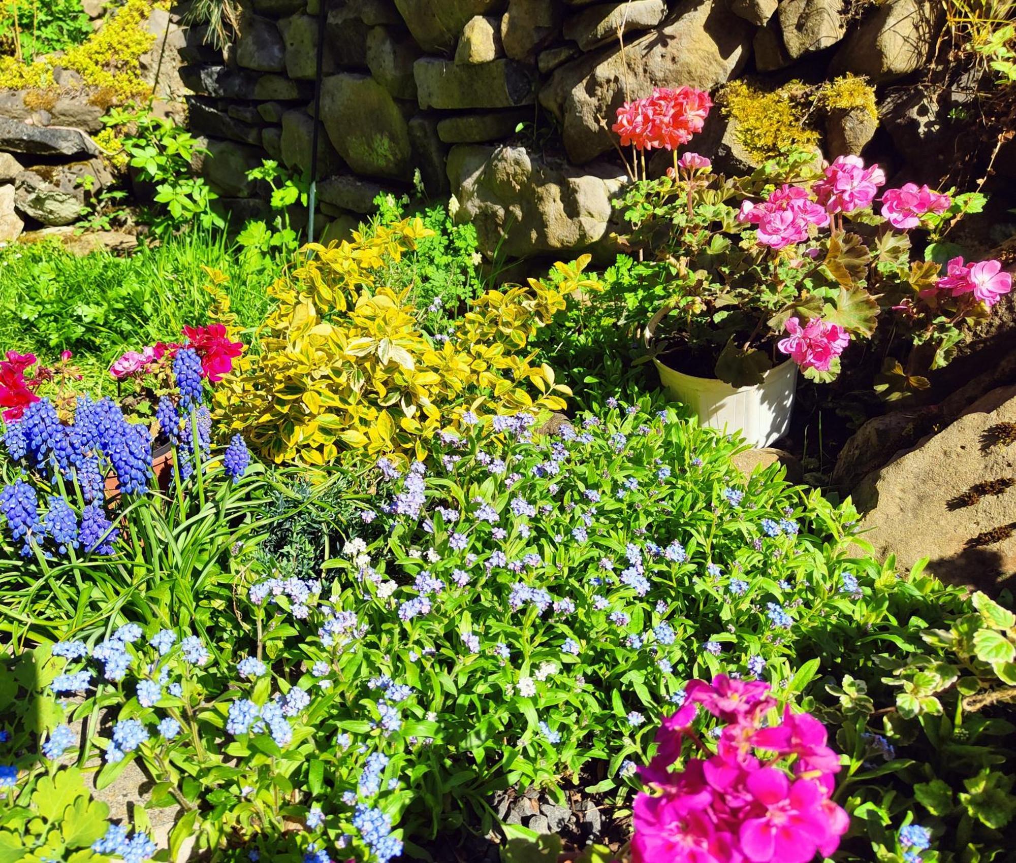 Bed And Breakfast Tvrz Velká Bukovina Zewnętrze zdjęcie