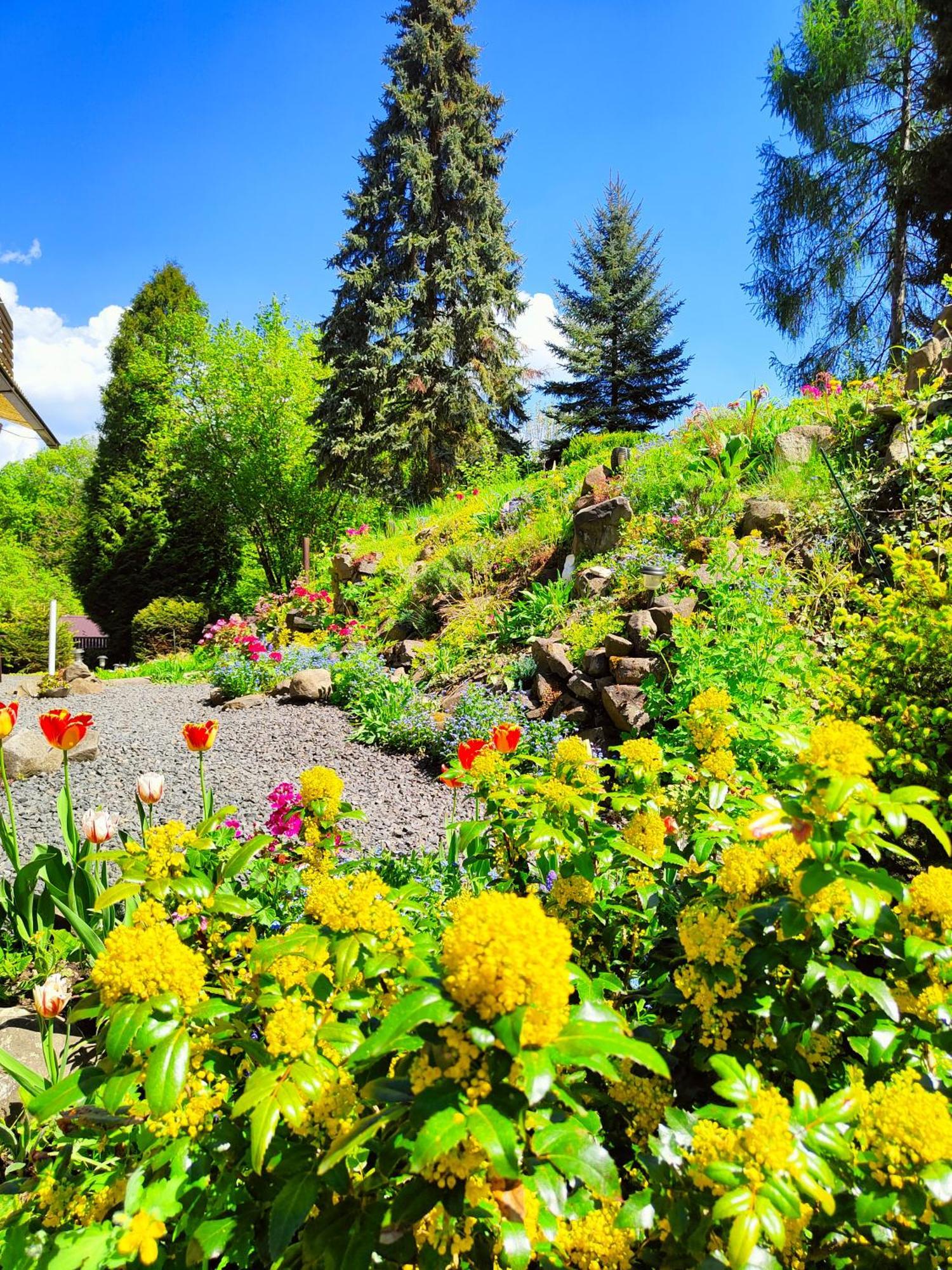 Bed And Breakfast Tvrz Velká Bukovina Zewnętrze zdjęcie