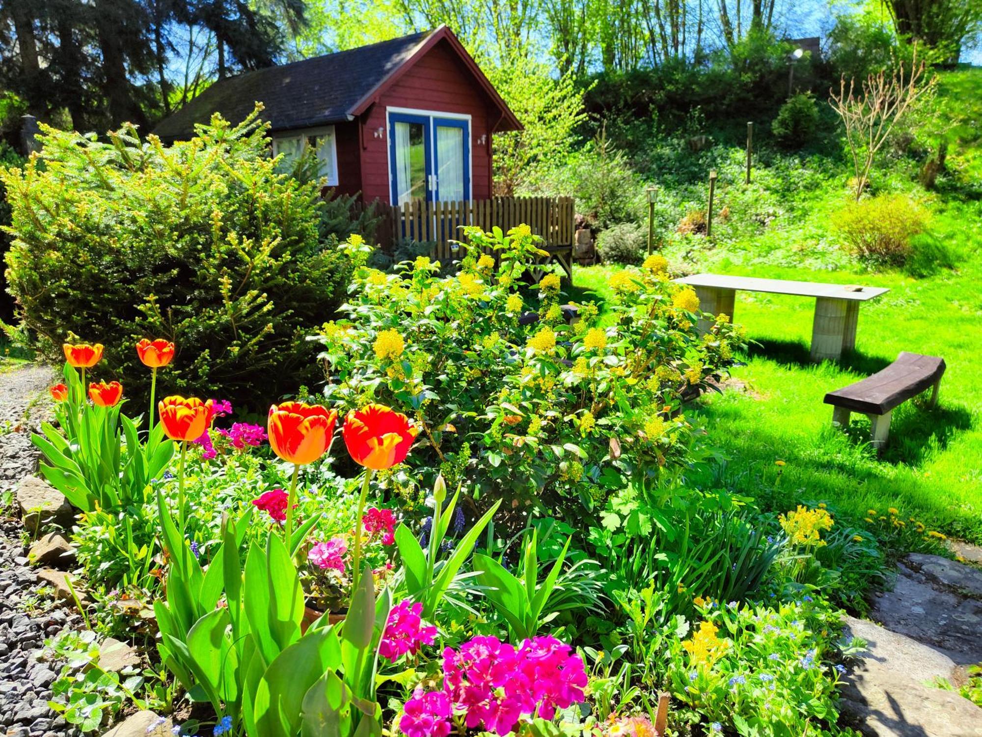 Bed And Breakfast Tvrz Velká Bukovina Zewnętrze zdjęcie