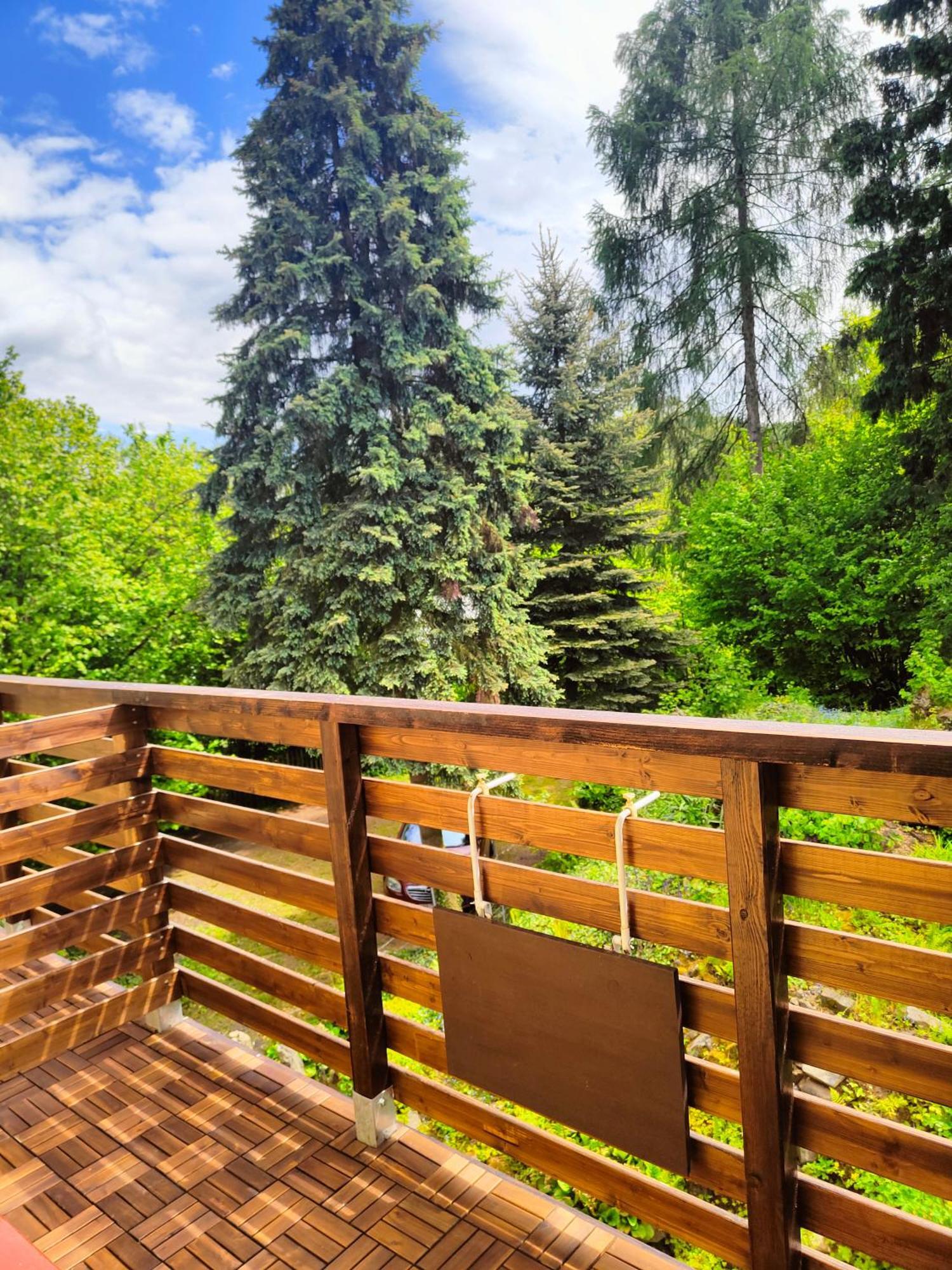 Bed And Breakfast Tvrz Velká Bukovina Zewnętrze zdjęcie